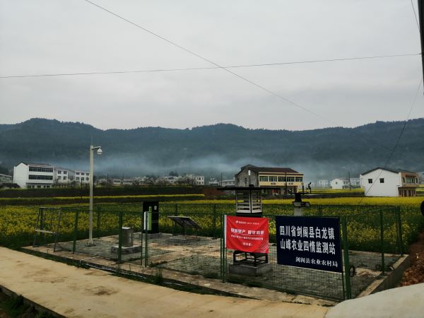 金年会病虫害监测点